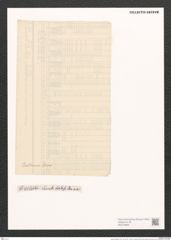 Surirella caldensis Grun. (de-Toni-Nr.: Genus 53, Species 2303) Zeichnungen Sammlung Grunow (NHMW-BOT-W0372868)